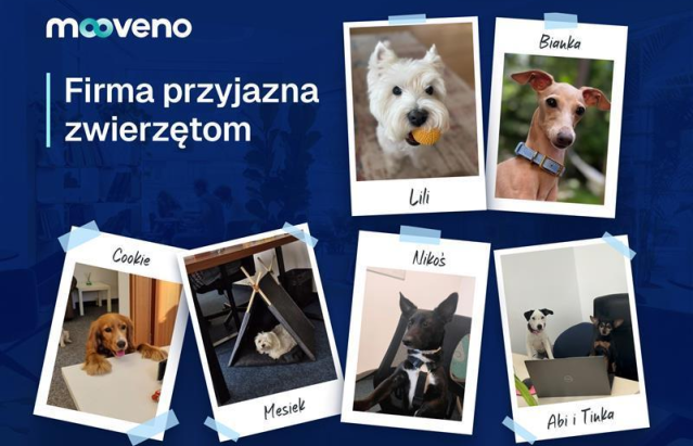 firma przyjazna zwierzętom